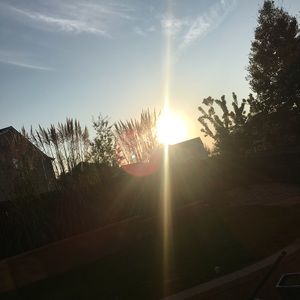 Meet your Posher, Bella